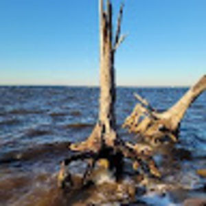 Meet your Posher, Joe